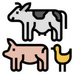 Livestock & Poultry ππ